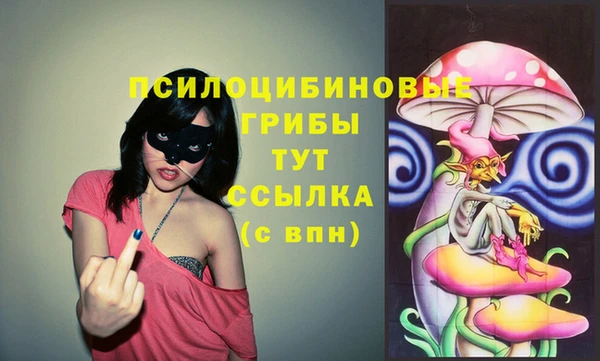 кокаин колумбия Новозыбков