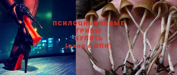 мескалин Новодвинск
