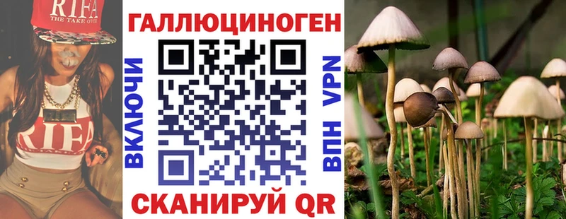 Галлюциногенные грибы MAGIC MUSHROOMS  Новокузнецк 