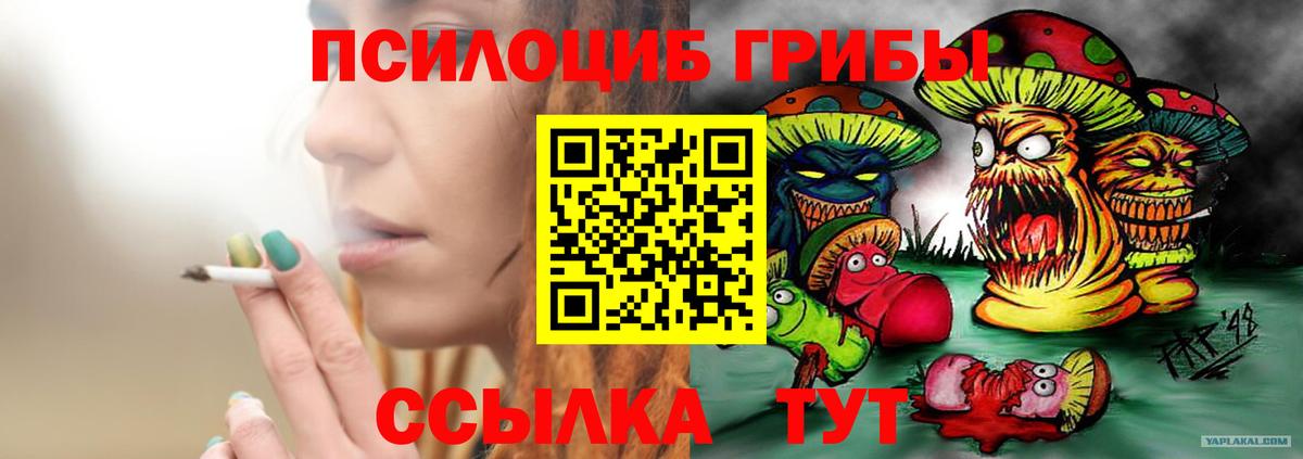 Новокузнецк  где можно купить   Вход с VPN  Галлюциногенные грибы мицелий 